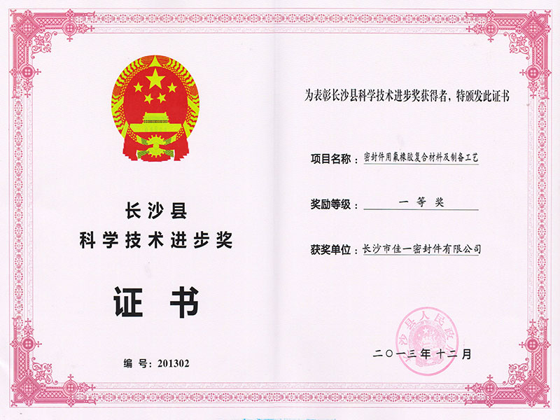 科學技術(shù)進步獎一等獎